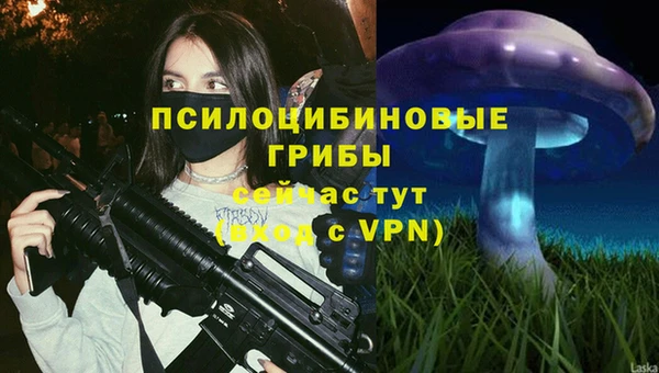 mix Арсеньев